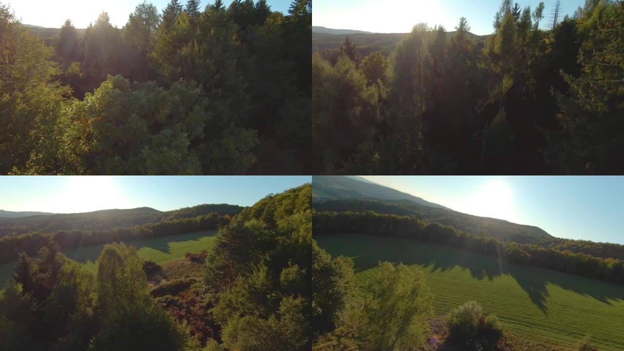 FPV无人机: 初秋在郁郁葱葱的树梢上飞往草地和山谷