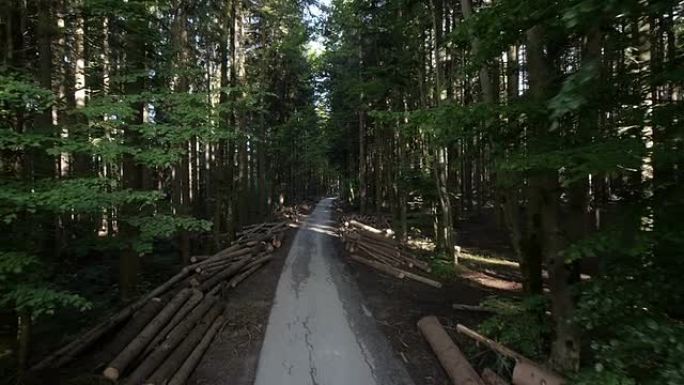 空中: 树干躺在森林道路旁