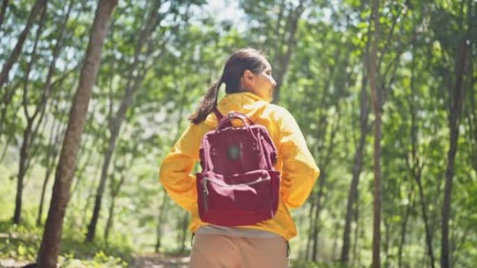 徒步旅行的女人在树林里用蕨类植物探索林间空地