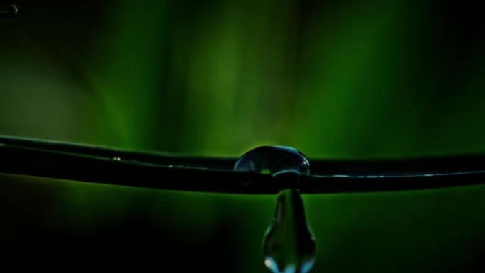 超级SLO MO傍晚在狭窄的绿叶上两滴水滴，水滴滴在叶子上，水向下流动，单滴在叶子表面