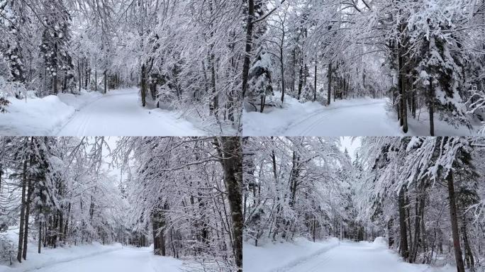 穿越雪白森林的雪道上的旅行视点