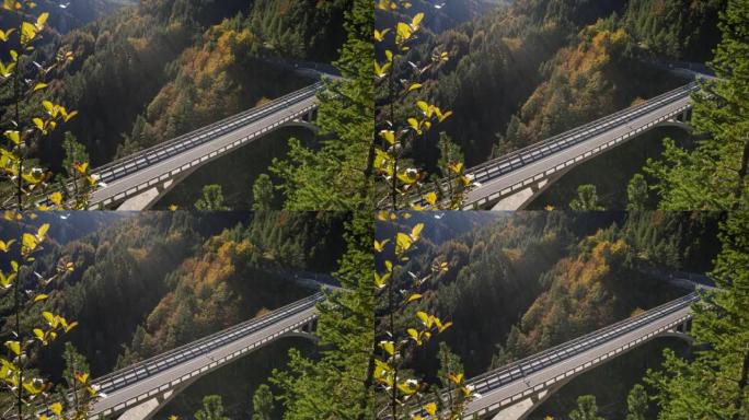 女运动员在森林中央的一座公路桥上奔跑