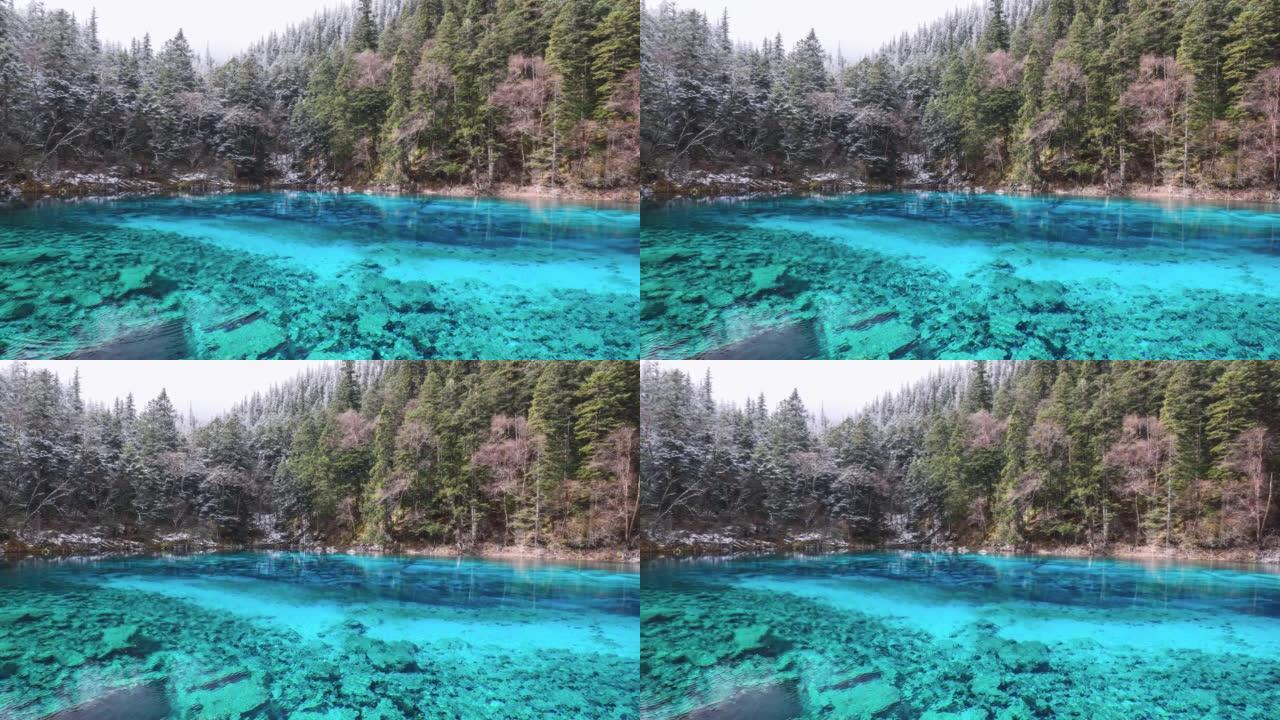 九寨沟山谷的湖泊呈现出令人难以置信的蓝色