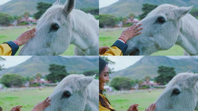 农场、田野和女人的宠物马，用于牧场上的乡村宠物的结合、动物护理和爱情。耕种，放松和印度女人的手触摸种