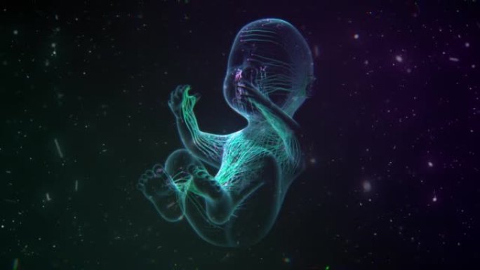 身体中的婴儿全息图，就像在太空中一样