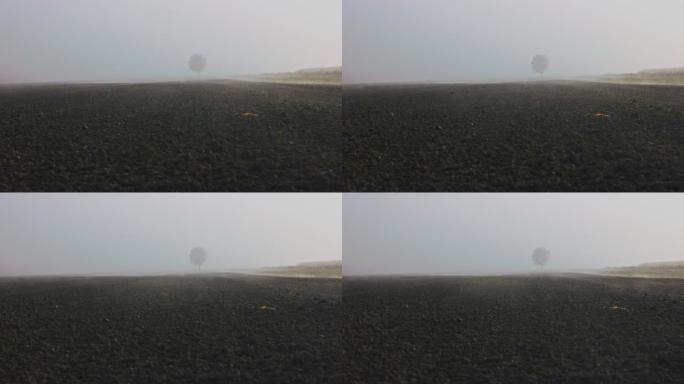 晨雾穿过犁过的田野