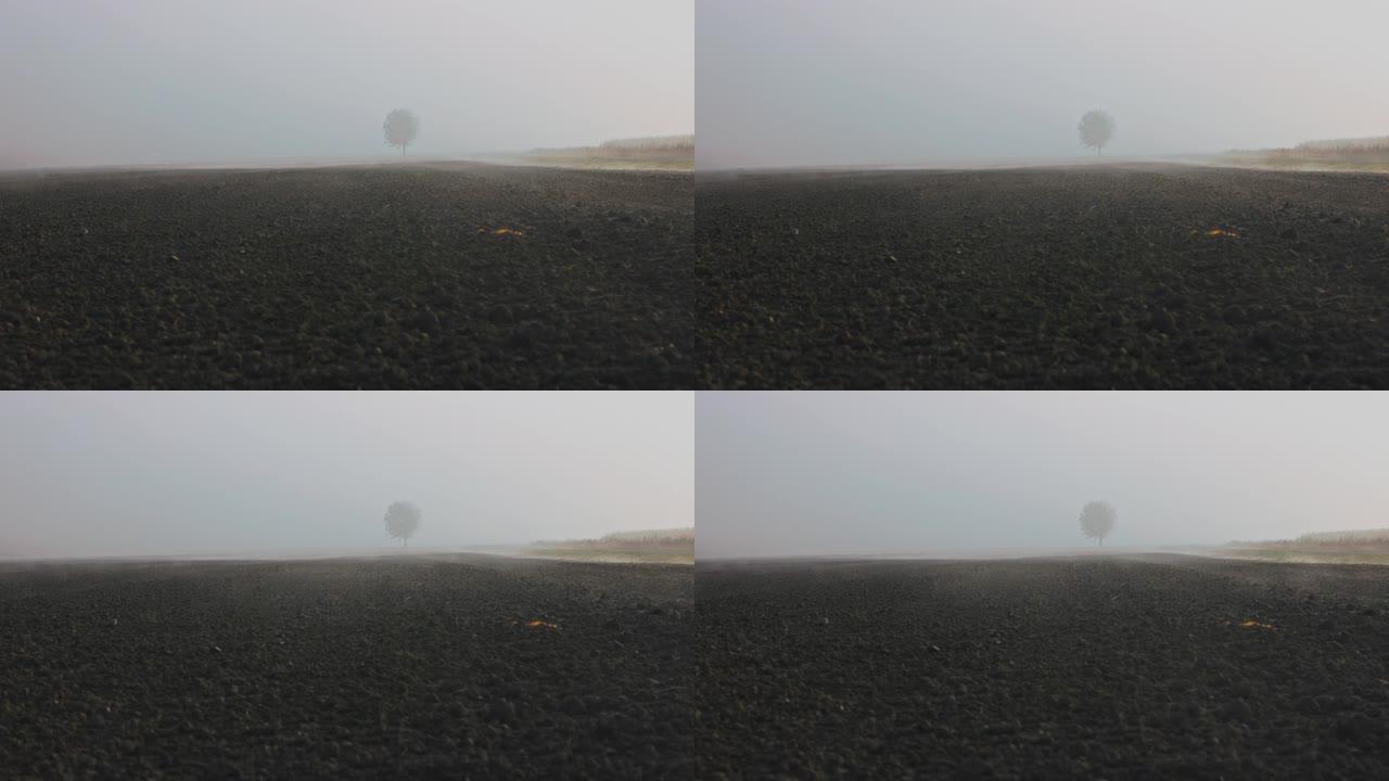 晨雾穿过犁过的田野