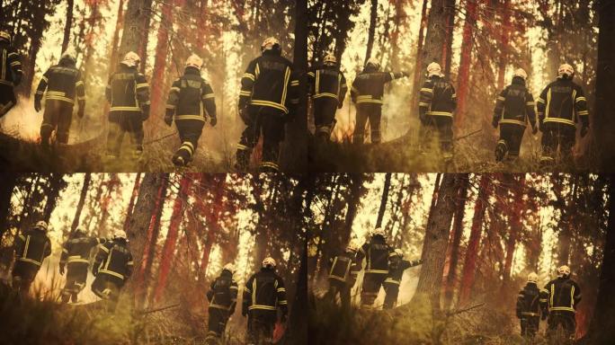 配备安全设备和制服的志愿消防员小队在大火完全失控之前包围了熊熊大火。消防员应对紧急情况并防止灾难。