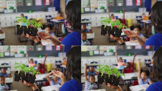 混血女教师站在教室里，在生物课上向植物提问