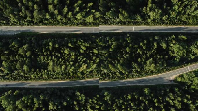 公路槽茂密的森林。空中无人机视图，自上而下