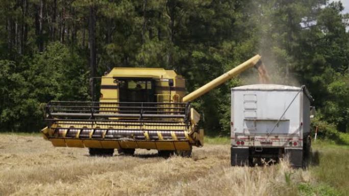 小麦收割机在农民田间收割冬小麦