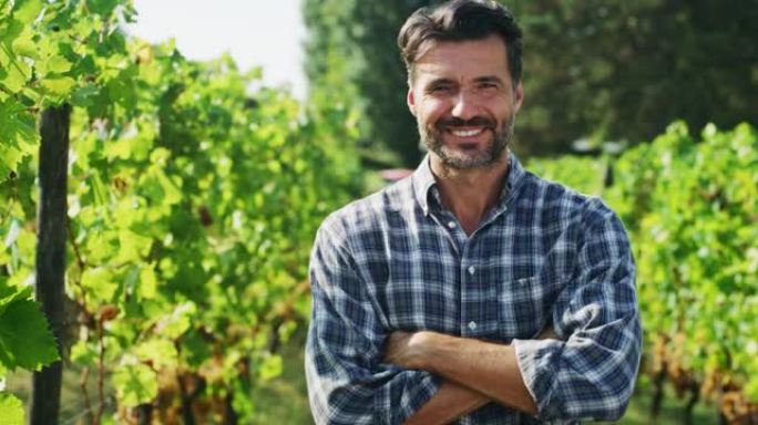 快乐的男性农民或酿酒师的真实照片在葡萄园的镜头中微笑着，对葡萄收获的结果感到满意，以进一步生产高质量