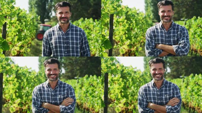 快乐的男性农民或酿酒师的真实照片在葡萄园的镜头中微笑着，对葡萄收获的结果感到满意，以进一步生产高质量