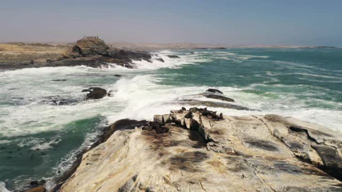 WS棕色海狗在岩石上晒日光浴，大西洋，斯瓦科普蒙德，纳米比亚，非洲