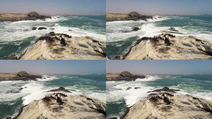 WS棕色海狗在岩石上晒日光浴，大西洋，斯瓦科普蒙德，纳米比亚，非洲