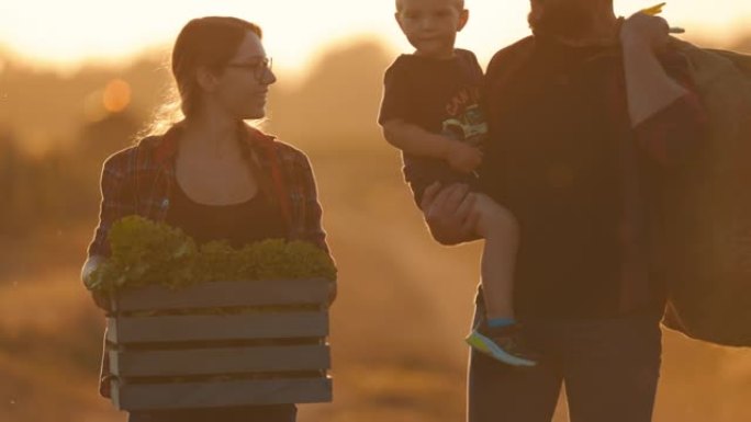 带着一个孩子的SLO MO年轻农业夫妇在日落时分沿着田野散步