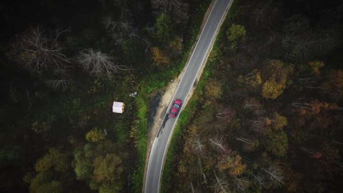 汽车在穿过森林的道路上行驶