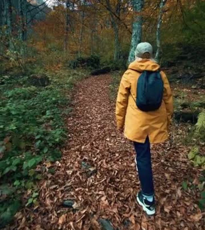 漫步在美丽的秋天森林