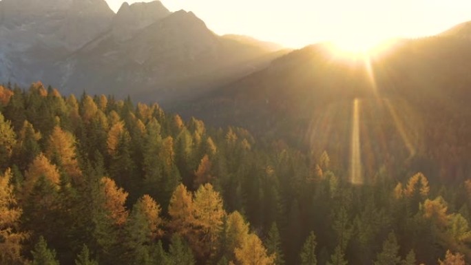 空中: 金色的傍晚阳光照在白云岩覆盖山丘的森林上。