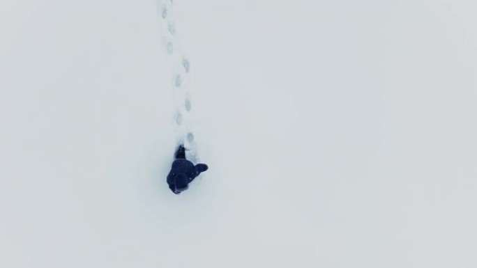 疲惫疲惫的人挣扎着在极端寒冷的雪地里行走，冬天的天气绝望无望一步一步寻找人行道