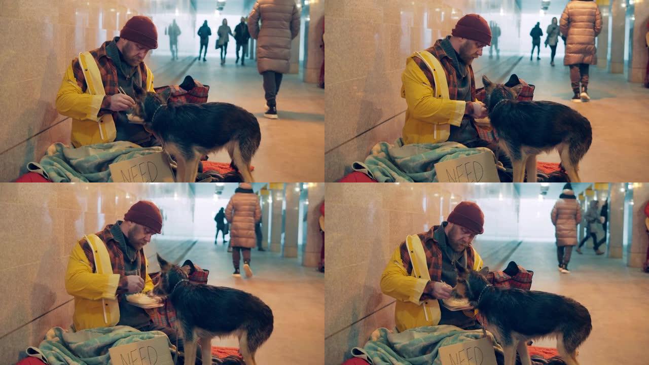 一个乞丐一边吃面条一边治疗他的狗