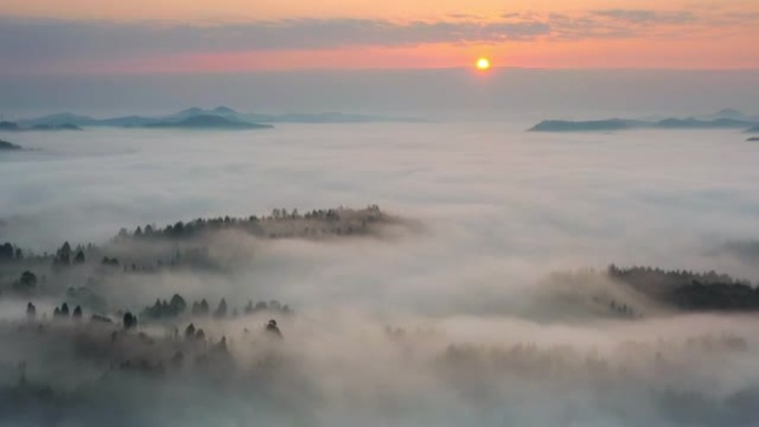 日出时，农村有一团大雾，非常梦幻