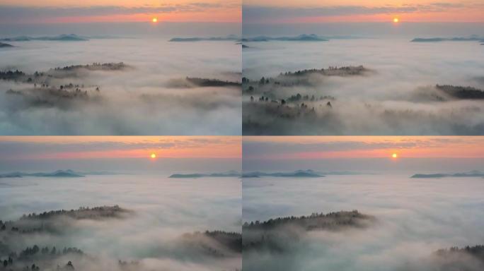 日出时，农村有一团大雾，非常梦幻