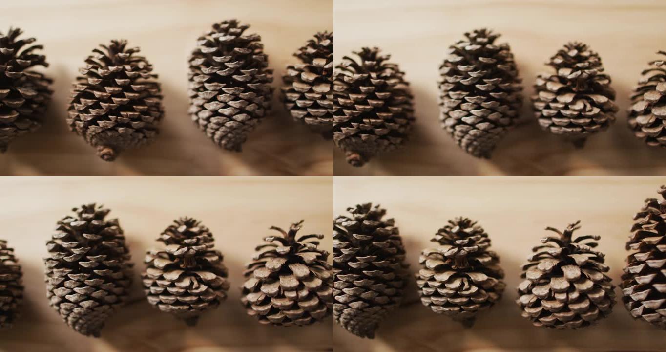 木制背景上的一排松果视频
