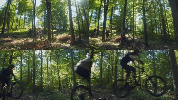 SLO MO MTB骑自行车的人在森林中超速行驶