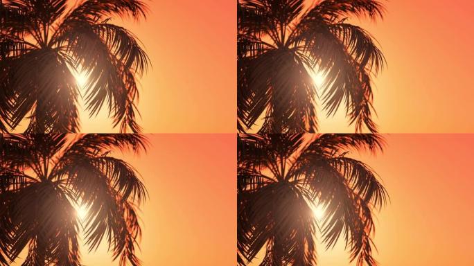 带复制空间的度假棕榈树背景动画。