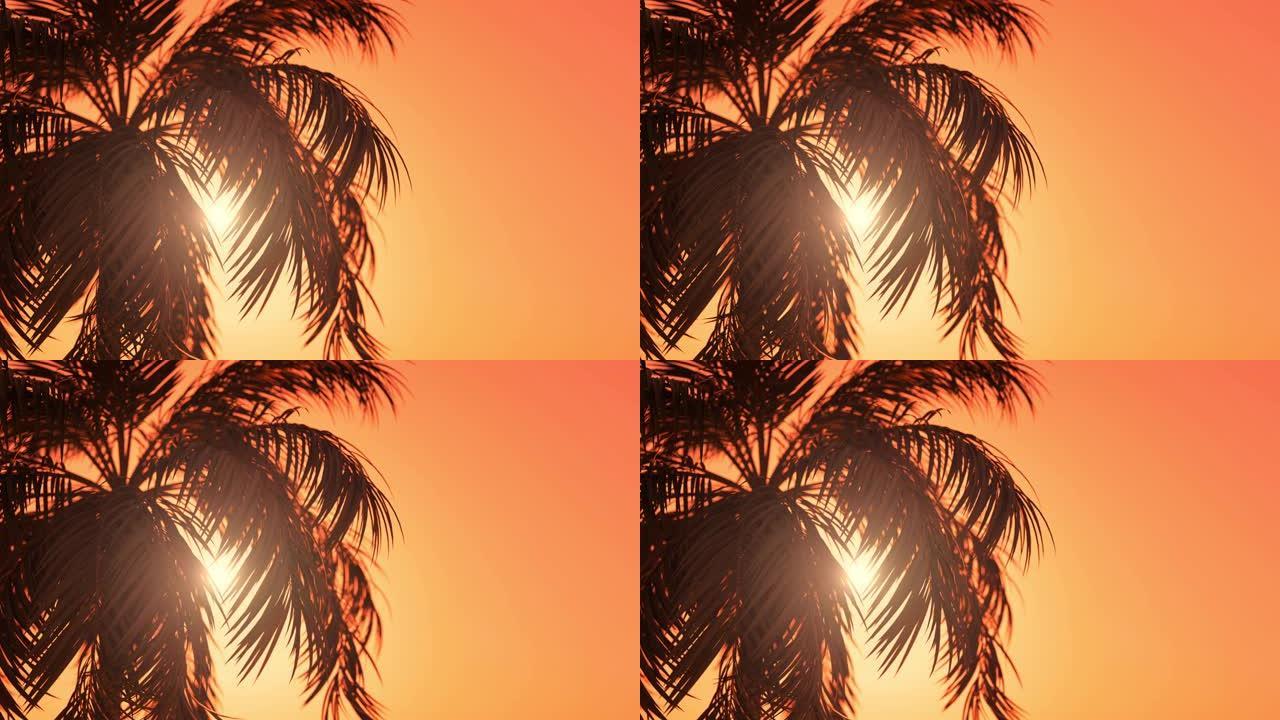 带复制空间的度假棕榈树背景动画。