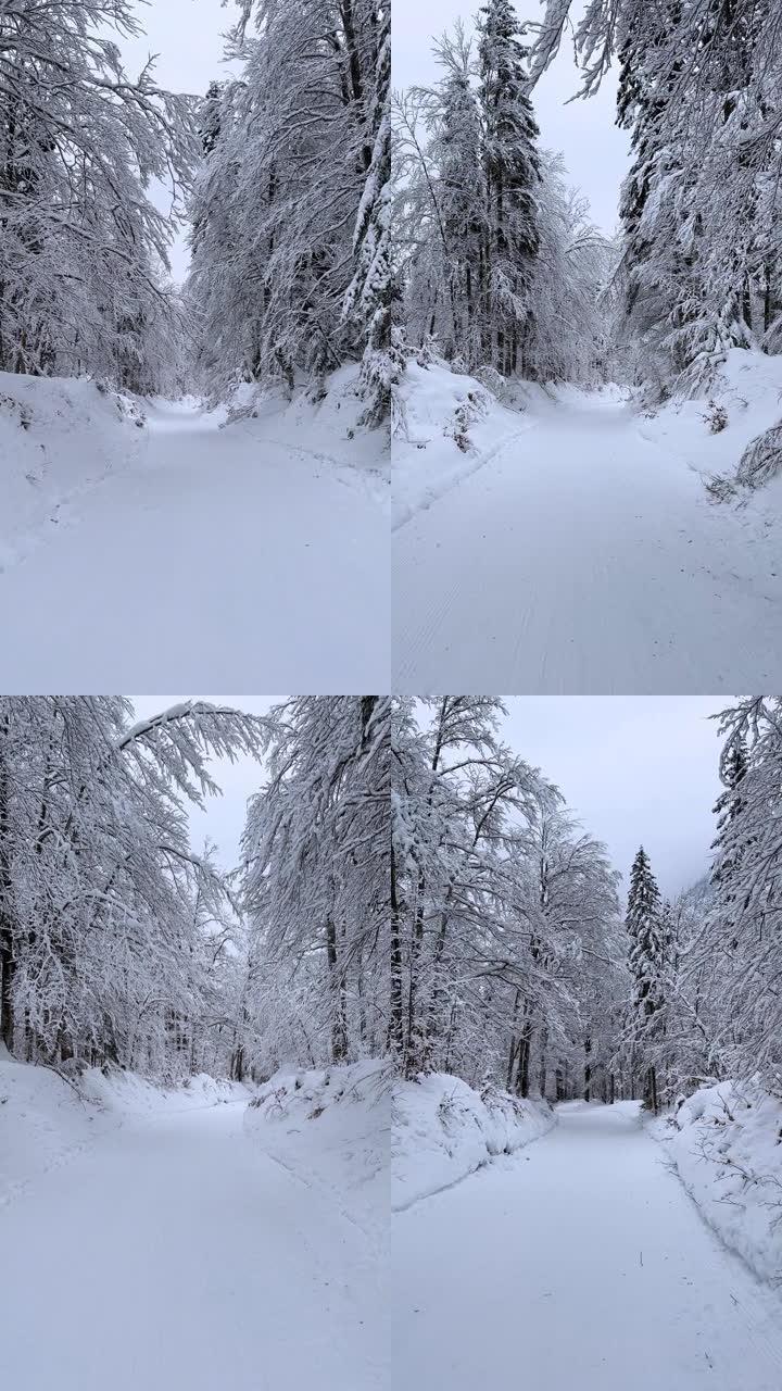 在下雪的冬日移动槽超现实的山谷