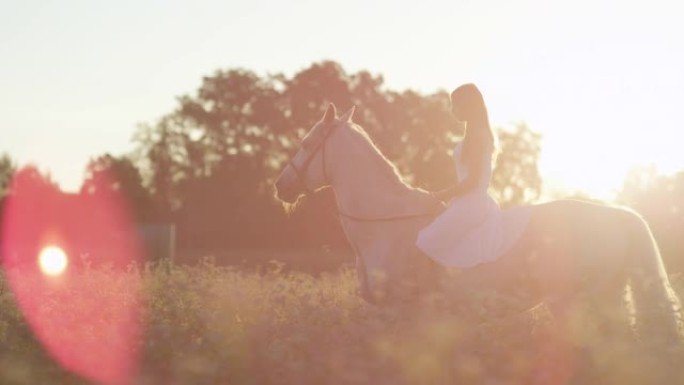 复制空间: 女人在日落时分骑着种马经过盛开的田野。