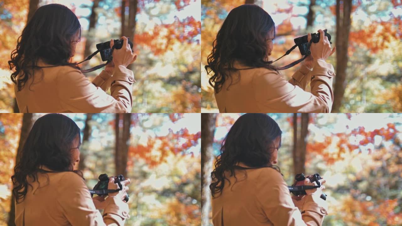 旅行者在秋天的叶子颜色中使用相机