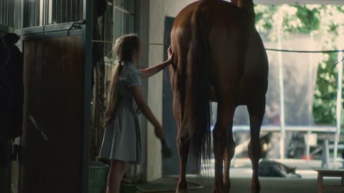 女孩梳理马的尾巴