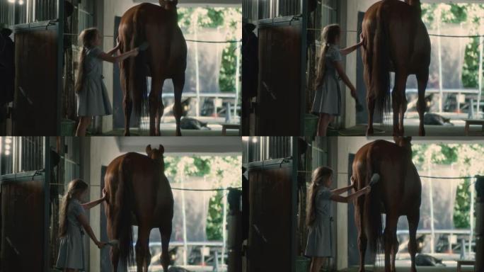 女孩梳理马的尾巴