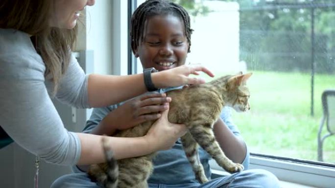 动物收容所的志愿者帮助男孩收养猫