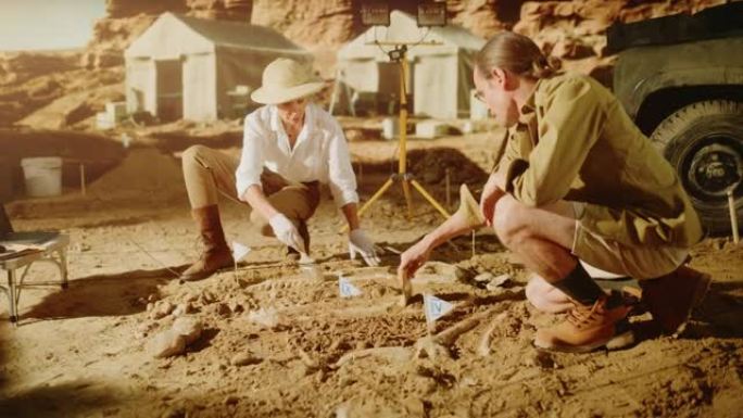 考古挖掘地点: 两位伟大的古生物学家发现了史前恐龙的化石遗骸，用刷子清理它。考古学家在挖掘现场工作，