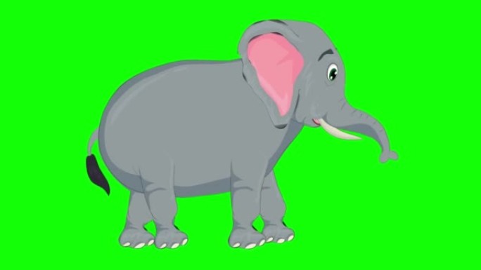 在绿屏上运行可爱又累的大象卡通动画。动物，野生动物，游戏，返校，3d动画，电影，有机，色键，人物动画