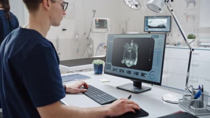 兽医诊所专家在台式电脑上工作，使用软件检查海龟x光扫描潜在的健康风险。女兽医在背景中行走