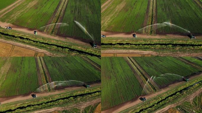 农业洒水、田间灌溉。航拍视频