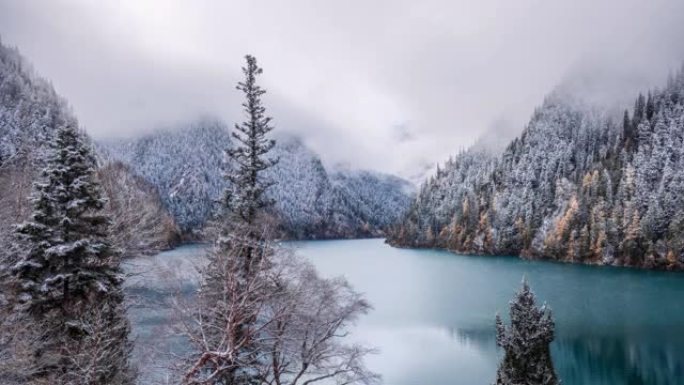 第一场雪覆盖了湖岸的森林