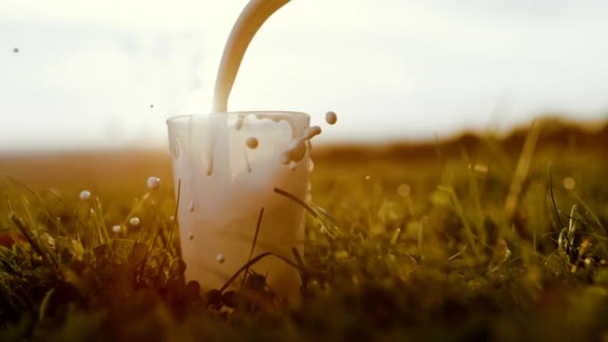 超级SLO MO在日落时将牛奶倒入草丛中的玻璃杯中