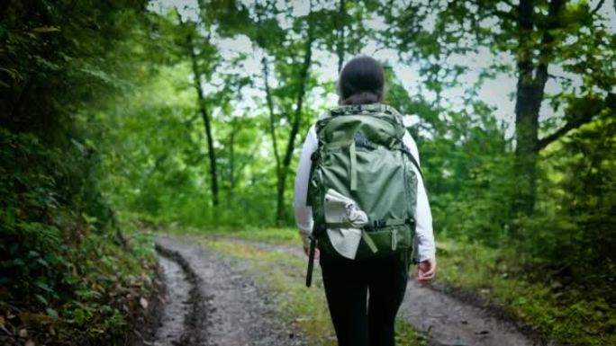 林道徒步旅行妇女的后视图