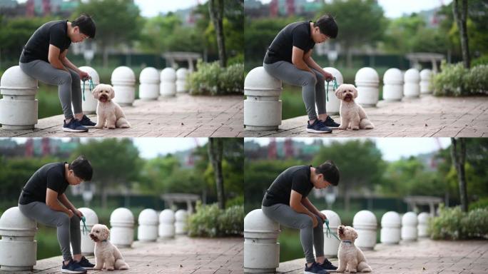 亚洲中国中年短发女性服从训练她的宠物狗玩具贵宾犬在公园早上结合在一起