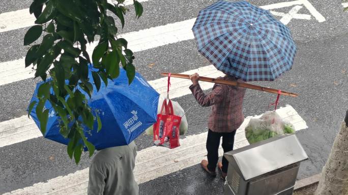 雨天行人过斑马线