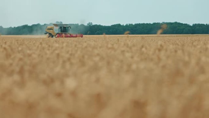 SLO MO联合收割机在田间收割小麦