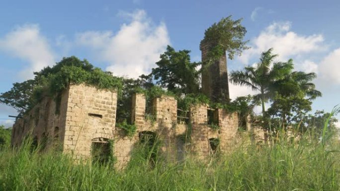 乡村的旧砖厂腐烂被热带植被覆盖