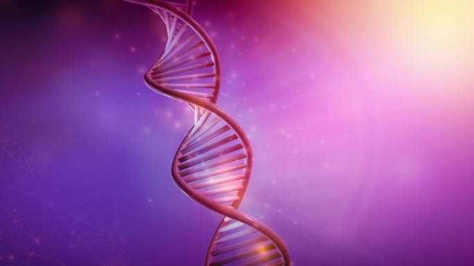 DNA双螺旋旋转的彩色动画。