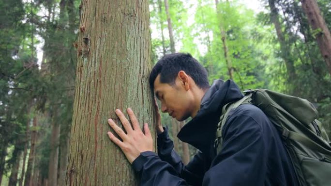 感受森林极限运动体育锻炼山地运动